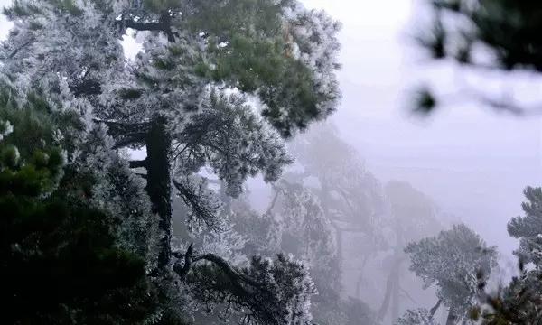 《飞驰人生2》发布会:沈腾范丞丞耍宝,于适客串,韩寒藏惊喜